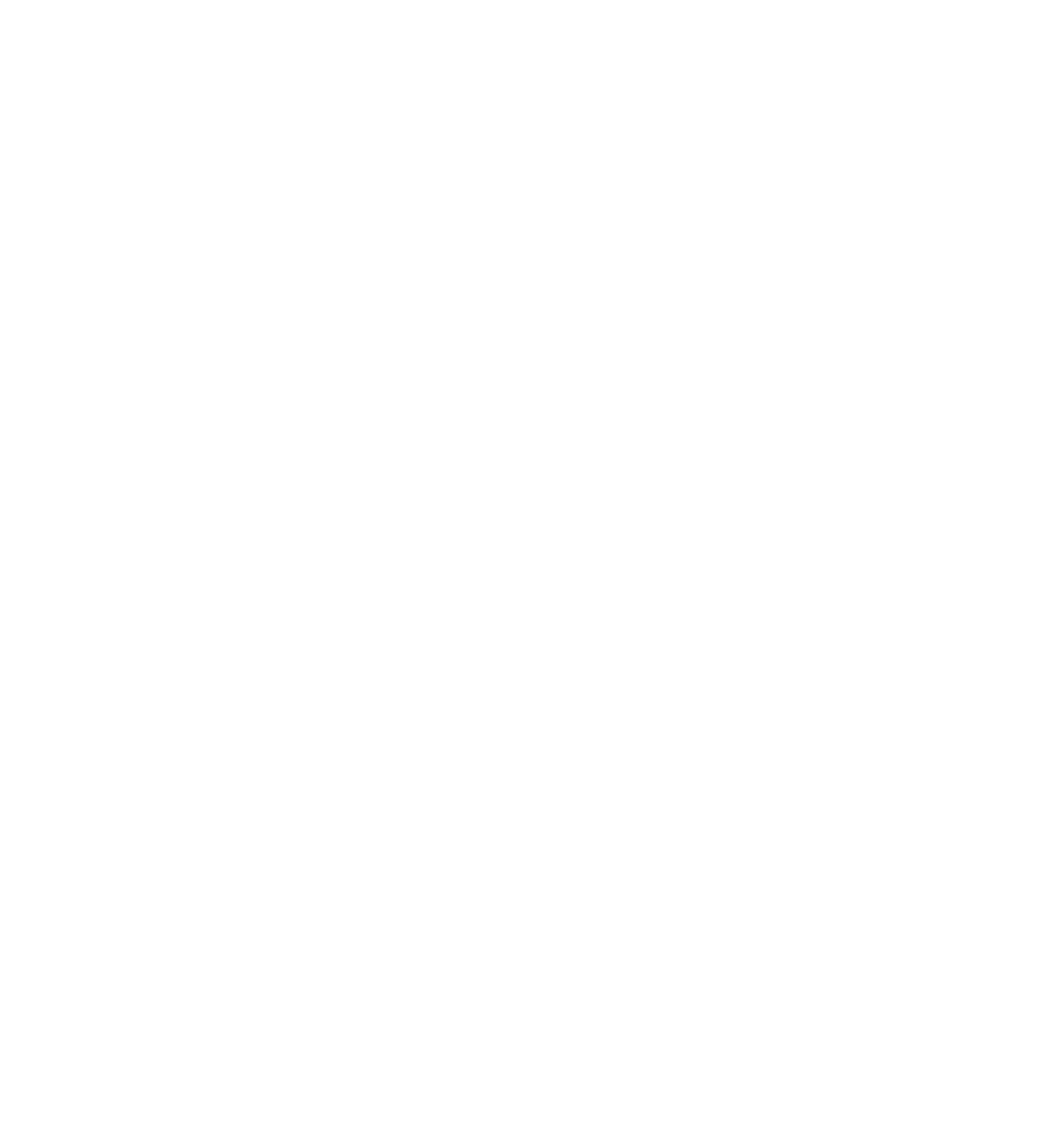 Synapse Strateg.ia